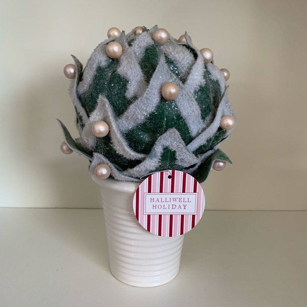 Pearl frosted fuzzy plant - Picture 2 of 8